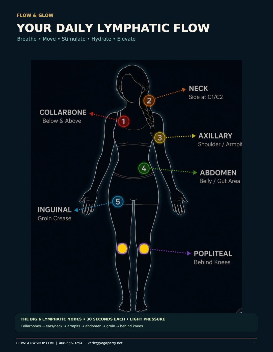 Flow & Glow Lymphatic Flow Guide