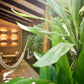 Costa Rica Retreat Double Occupancy - Balance